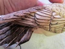 Finest details to add dimension and texture to feathers