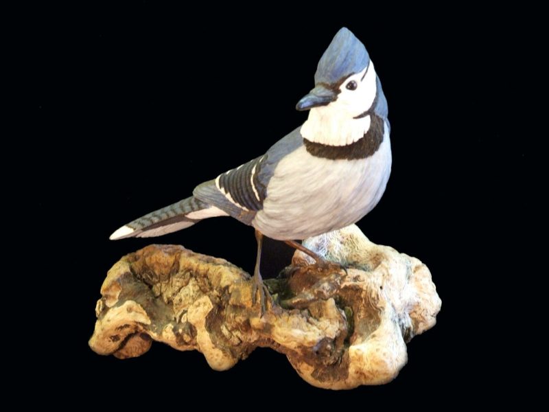 1_BlueJay2-1-scaled