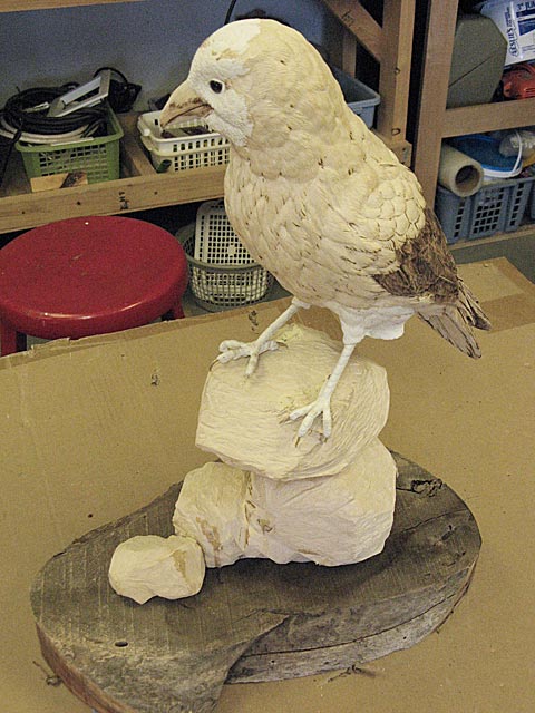 Setting bird on base