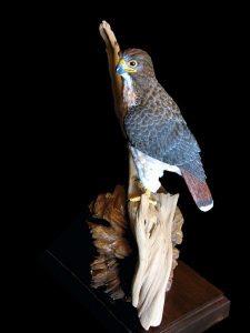 Red-Rock Red-Tail - Red-Tailed Hawk Wood Carving, 1/3 Life Size