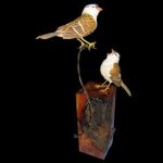 White Crowned Sparrows, Life Size