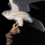 Merlin Falcon in Flight
