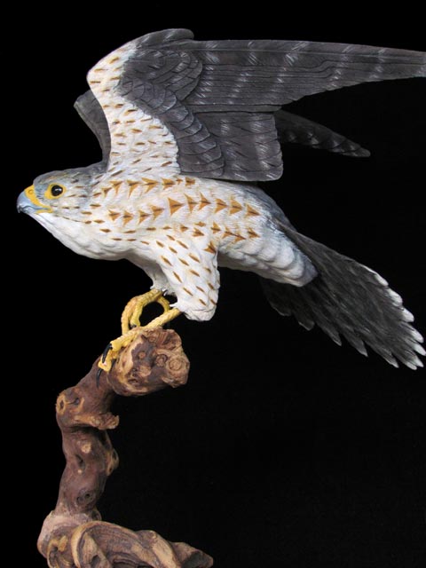 Merlin Falcon in Flight
