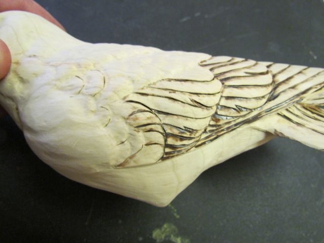 Flank Feathers Ready for Detail