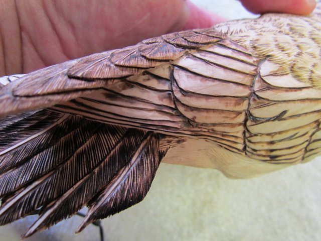Flight Feathers are Burned