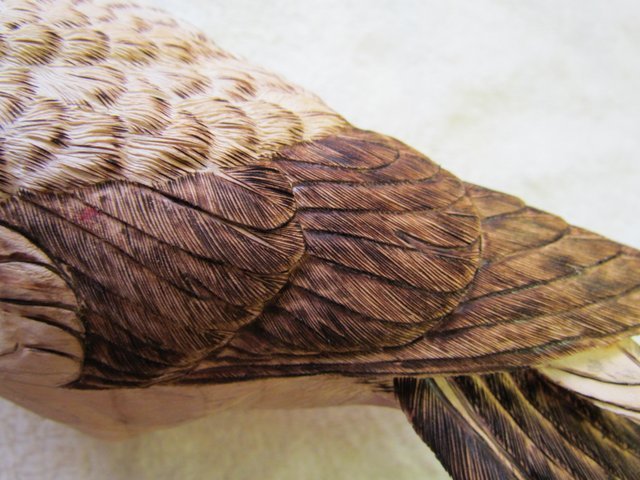 Flight Feathers With Splits Burned in