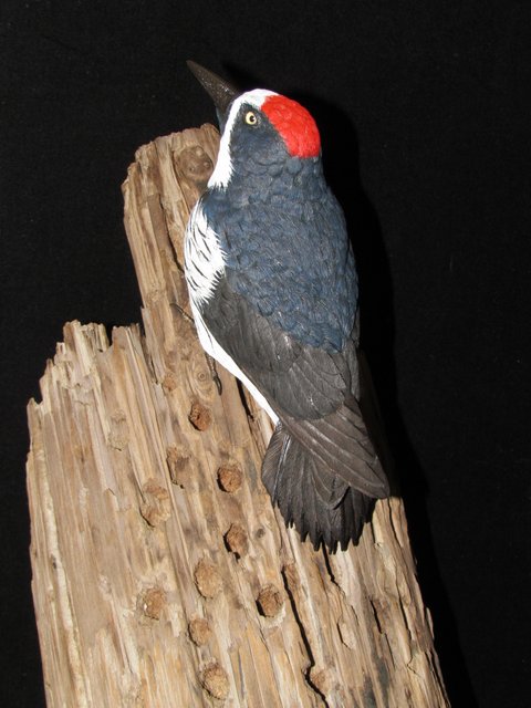 Finished Carved and Painted Bird on Mount