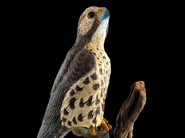 Lookout - Prairie Falcon