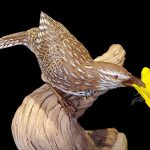 "Caught" Life-size Cactus Wren and Yellow Sulfur Butterfly