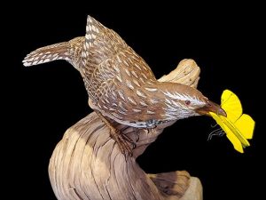 “Caught” Life-size Cactus Wren and Yellow Sulfur Butterfly