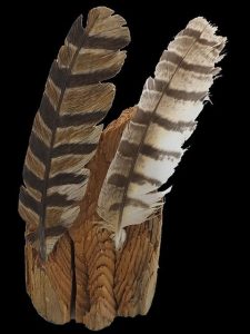 “Two Feathers, One in Wood” Flight Feathers of a Great Horned Owl
