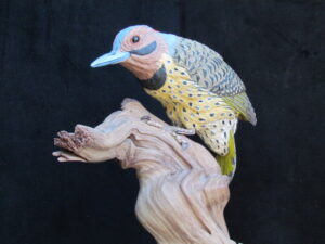 “On the Wood” Life size Yellow-shafted Flicker